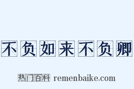 不负如来不负卿是什么意思的图片